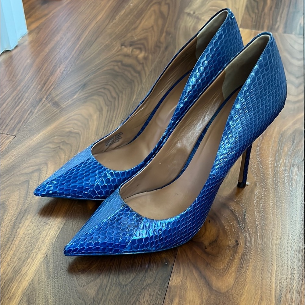 Royal Blue High Heels with Pointed Toe and Stiletto Heel